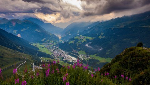 Обои цветы, горы, зелень, высота, долина, перевал, flowers, mountains, greens, height, valley, pass разрешение 1920x1200 Загрузить