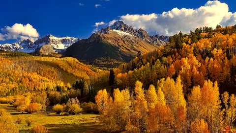 Обои небо, облака, деревья, горы, природа, лес, осень, колорадо, the sky, clouds, trees, mountains, nature, forest, autumn, colorado разрешение 1920x1200 Загрузить