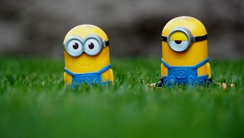 Обои трава, очки, мультфильм, игрушек, комбинезон, миньоны, grass, glasses, cartoon, toys, jumpsuit, minions разрешение 4354x3086 Загрузить