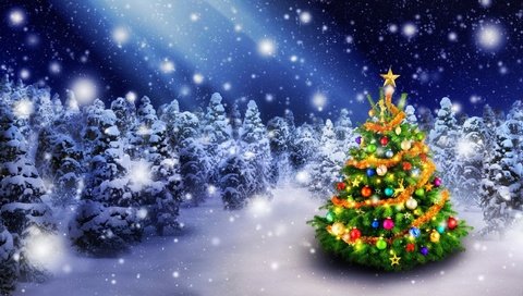 Обои снег, елочные украшения, новый год, елка, зима, звезды, праздник, рождество, елочные игрушки, snow, new year, tree, winter, stars, holiday, christmas, christmas decorations разрешение 2560x1447 Загрузить