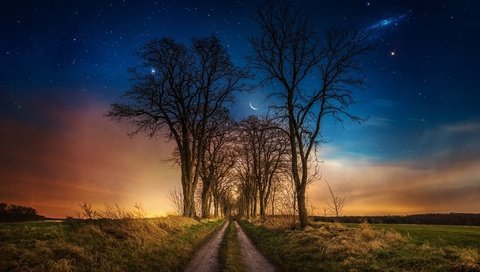 Обои дорога, трава, ночь, деревья, звезды, луна, road, grass, night, trees, stars, the moon разрешение 2048x1346 Загрузить