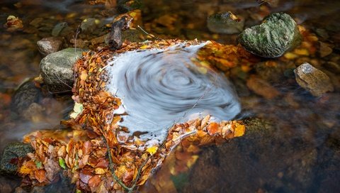 Обои вода, течение, камни, осенние листья, ручей, осень, водоворот, водоем, речка, желтые, water, for, stones, autumn leaves, stream, autumn, whirlpool, pond, river, yellow разрешение 5783x3855 Загрузить