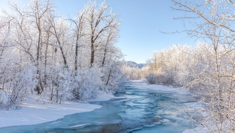 Обои небо, иней, деревья, берега, река, снег, природа, лес, зима, ветки, the sky, frost, trees, bank, river, snow, nature, forest, winter, branches разрешение 2048x1375 Загрузить