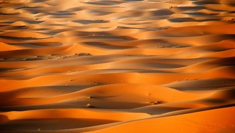 Обои песок, пустыня, бархан, sand, desert, barkhan разрешение 1920x1080 Загрузить