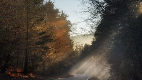 Обои свет, дорога, утро, light, road, morning разрешение 2048x1289 Загрузить