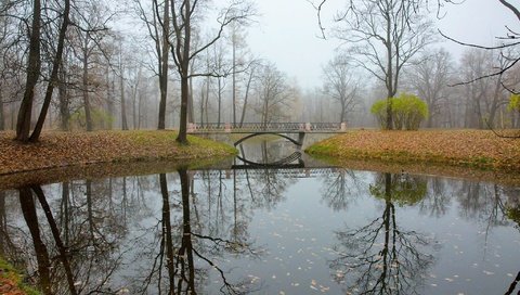 Обои отражение, мост, осень, речка, царское село, reflection, bridge, autumn, river, tsarskoye selo разрешение 2048x1365 Загрузить