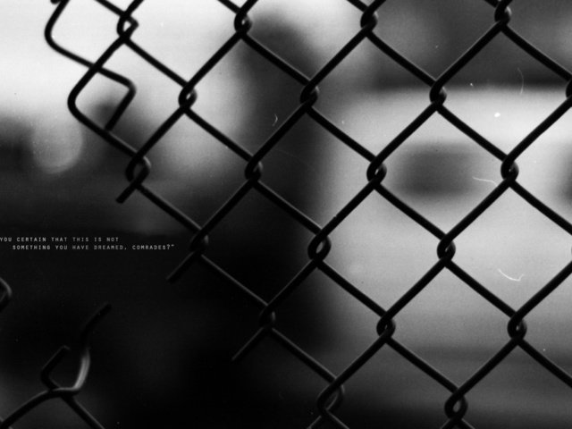 Обои проволока, слова, забор, чёрно-белое, выражение, wire, words, the fence, black and white, the expression разрешение 1920x1080 Загрузить