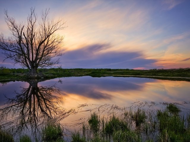 Обои небо, озеро, дерево, берег, закат, пейзаж, природ, the sky, lake, tree, shore, sunset, landscape, natures разрешение 2560x1577 Загрузить