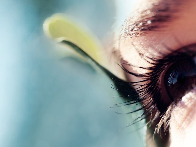 Обои макро, взгляд, глаз, ресницы, macro, look, eyes, eyelashes разрешение 2560x1517 Загрузить