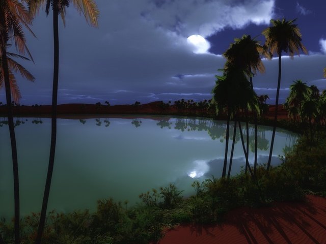 Обои ночь, озеро, луна, пальмы, оазис, night, lake, the moon, palm trees, oasis разрешение 1920x1200 Загрузить