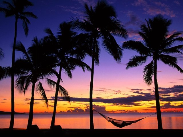 Обои вечер, берег, закат, пальмы, гамак, denarau island, fiji, the evening, shore, sunset, palm trees, hammock разрешение 1999x1333 Загрузить