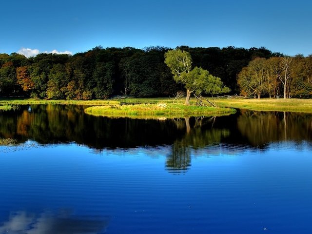 Обои деревья, вода, озеро, лес, отражение, пейзаж, trees, water, lake, forest, reflection, landscape разрешение 1920x1200 Загрузить