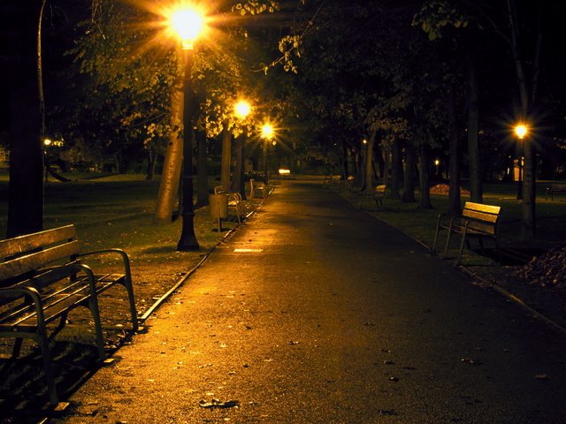 Обои ночь, фонари, парк, скамейка, аллея, night, lights, park, bench, alley разрешение 1920x1200 Загрузить