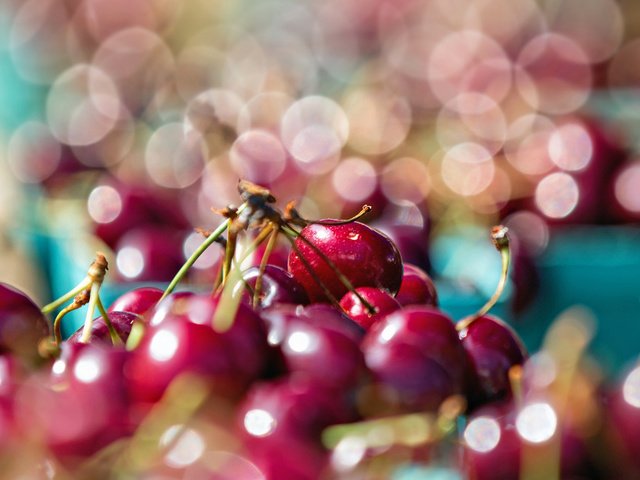 Обои ягода, блики, черешня, вишня, боке, berry, glare, cherry, bokeh разрешение 1920x1280 Загрузить