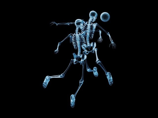 Обои футбол, скелеты, рентген, мяч, football, skeletons, x-ray, the ball разрешение 1920x1200 Загрузить