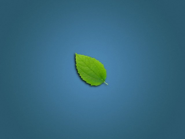 Обои зеленый листок, green leaf разрешение 1920x1200 Загрузить