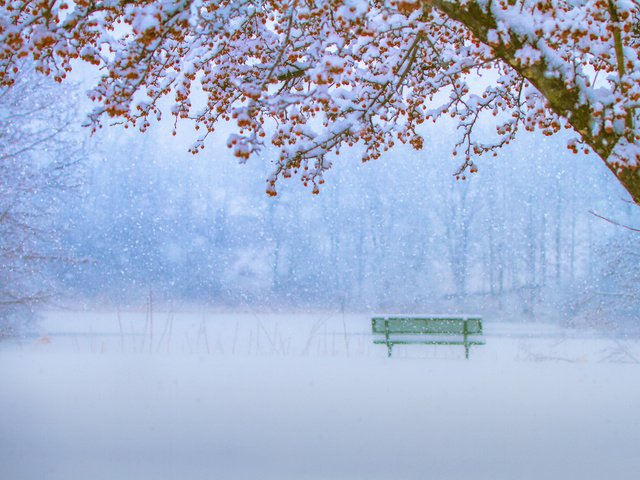 Обои зима, парк, скамейка, снегопад, winter, park, bench, snowfall разрешение 2010x1337 Загрузить