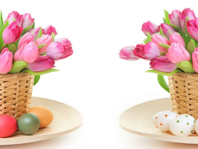 Обои цветы, тюльпаны, пасха, яйца, 8 марта, flowers, tulips, easter, eggs, march 8 разрешение 4360x2818 Загрузить