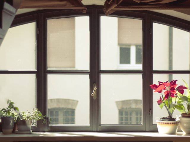 Обои цветы, окно, подоконник, горшкочки, горшочки, комнатные цветы, flowers, window, sill, gorshochki, pots, potted plants разрешение 4012x2675 Загрузить