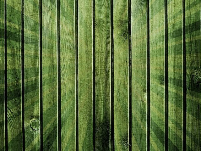 Обои дерево, текстура, зелёный, фон, лучи, забор, доски, tree, texture, green, background, rays, the fence, board разрешение 1920x1200 Загрузить