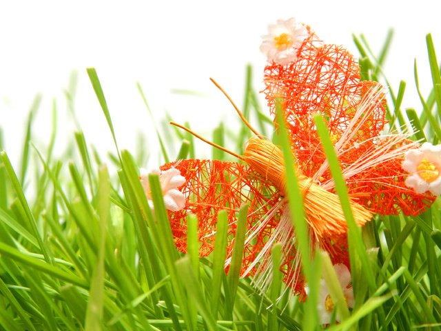 Обои трава, бабочка, декорация, поделки, grass, butterfly, decoration, diy разрешение 3456x2304 Загрузить