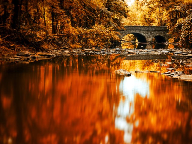 Обои озеро, река, лес, отражение, мост, осень, lake, river, forest, reflection, bridge, autumn разрешение 2048x1365 Загрузить