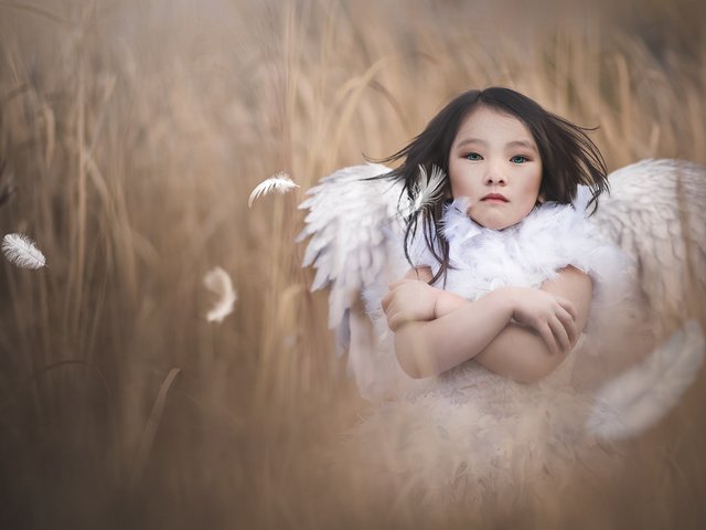 Обои фон, девочка, ангел, background, girl, angel разрешение 2048x1216 Загрузить