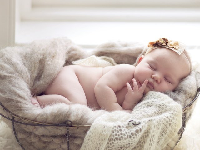 Обои сон, девочка, корзина, младенец, sleep, girl, basket, baby разрешение 2400x1553 Загрузить