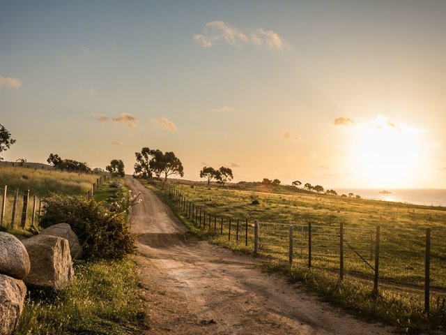 Обои дорога, деревья, утро, поля, road, trees, morning, field разрешение 3872x2581 Загрузить