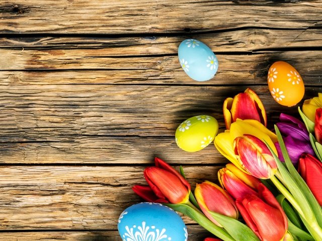 Обои тюльпаны, довольная, пасха, красочная, праздник, яйца крашеные, дерева, тульпаны,  цветы, глазунья, весенние, зеленые пасхальные, tulips, happy, easter, colorful, the painted eggs, holiday, wood, flowers, eggs, spring разрешение 3360x2240 Загрузить
