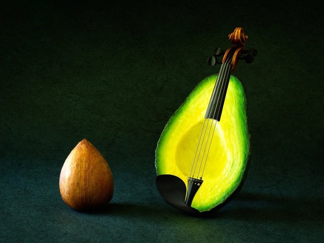 Обои фон, скрипка, фрукты, фантазия, струны, авокадо, background, violin, fruit, fantasy, strings, avocado разрешение 2500x1787 Загрузить