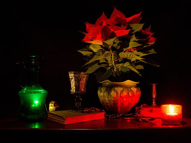 Обои мрак, цветок, растение, ваза, свеча, книга, натюрморт, горшок, the darkness, flower, plant, vase, candle, book, still life, pot разрешение 3646x2624 Загрузить