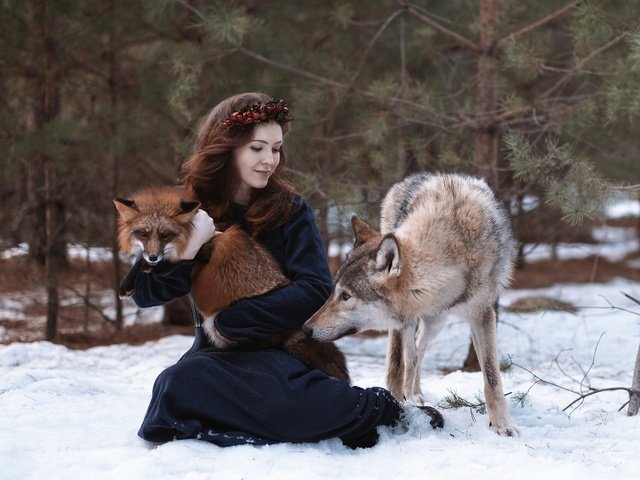 Обои снег, природа, лес, девушка, животные, лиса, волосы, волк, snow, nature, forest, girl, animals, fox, hair, wolf разрешение 2250x1500 Загрузить