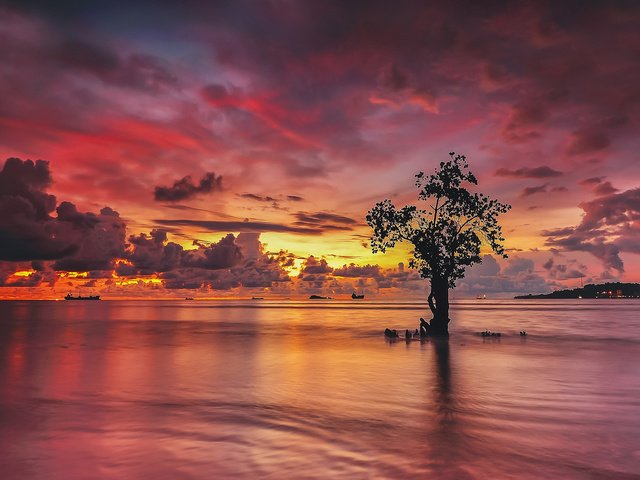 Обои облака, огни, вода, дерево, закат, отражение, корабли, clouds, lights, water, tree, sunset, reflection, ships разрешение 2048x1279 Загрузить