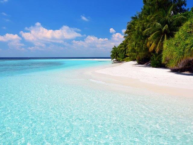 Обои море, пляж, отдых, остров, тропики, мальдивы, sea, beach, stay, island, tropics, the maldives разрешение 4714x2974 Загрузить