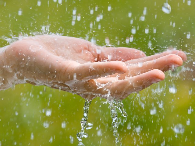 Обои вода, рука, макро, капли, брызги, дождь, родимов павел, water, hand, macro, drops, squirt, rain, the pavel rodimov разрешение 2880x1800 Загрузить