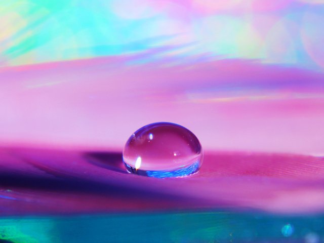 Обои вода, макро, капля, о, прозрачность, п, сиреневый фон, water, macro, drop, on, transparency, p, lilac background разрешение 2898x2898 Загрузить