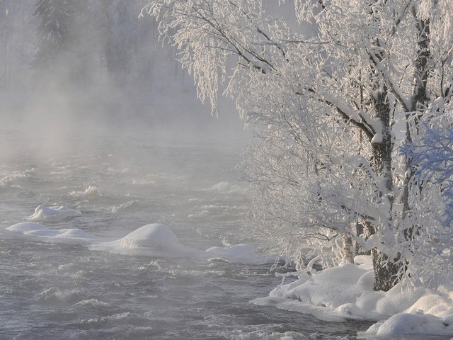 Обои река, снег, природа, дерево, лес, зима, ветки, иней, river, snow, nature, tree, forest, winter, branches, frost разрешение 1920x1200 Загрузить