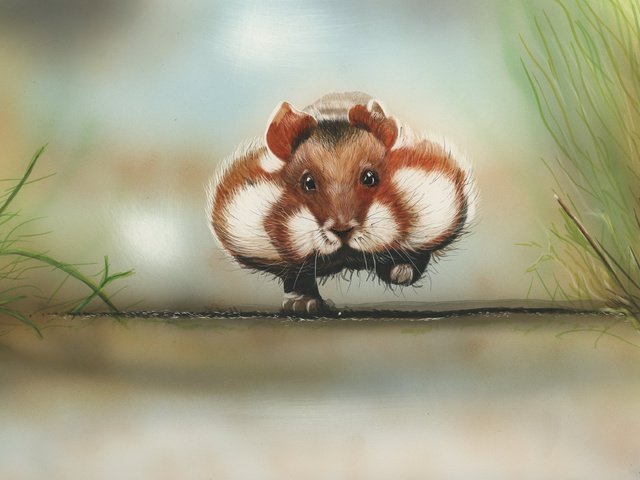 Обои рисунок, хомяк, грызун, щёки, figure, hamster, rodent, cheeks разрешение 3494x2526 Загрузить