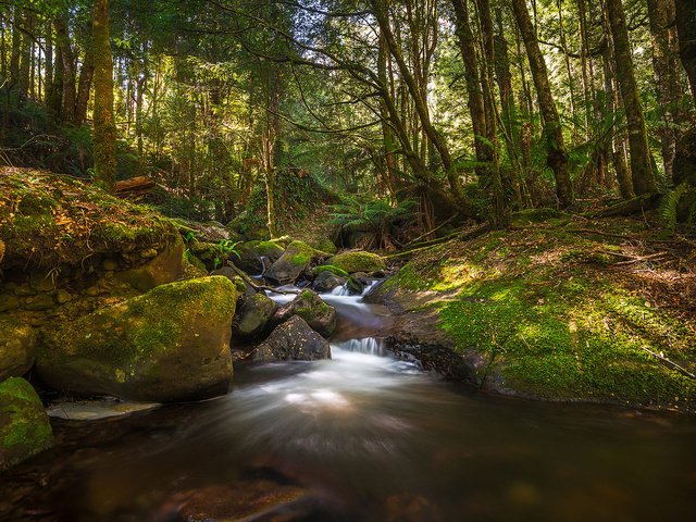 Обои деревья, вода, река, природа, лес, ручей, trees, water, river, nature, forest, stream разрешение 1920x1200 Загрузить