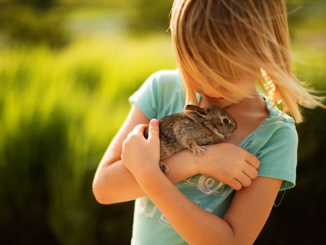 Обои девочка, волосы, лицо, кролик, животное, нежность, друзья, girl, hair, face, rabbit, animal, tenderness, friends разрешение 2560x1707 Загрузить