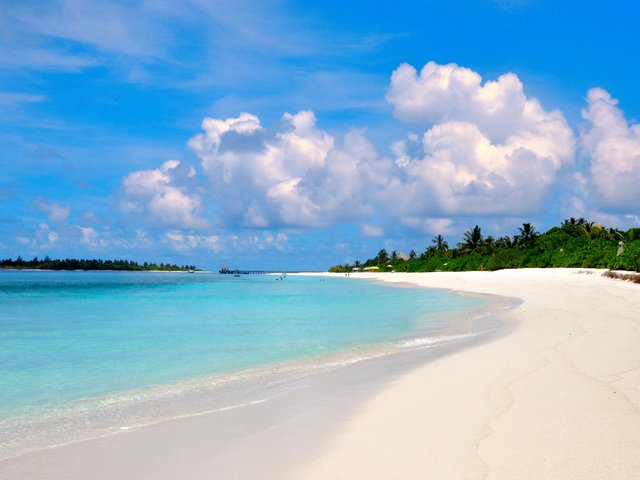 Обои море, пляж, тропики, sea, beach, tropics разрешение 4103x2725 Загрузить
