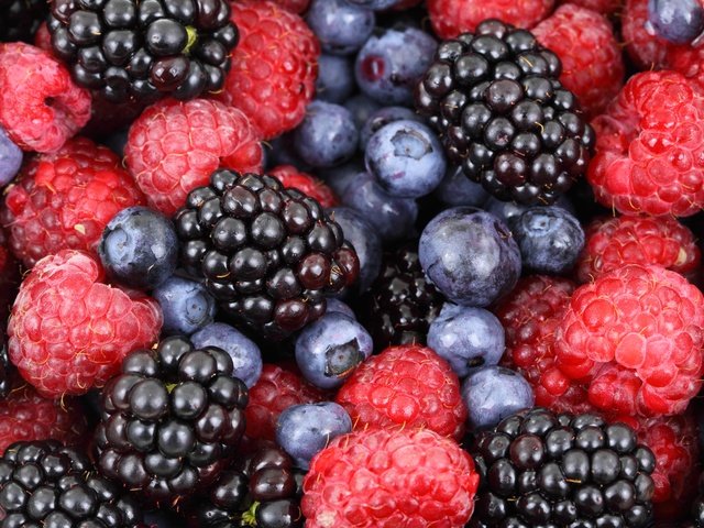 Обои макро, малина, ягоды, черника, ежевика, macro, raspberry, berries, blueberries, blackberry разрешение 4752x3168 Загрузить