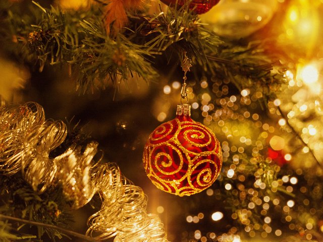 Обои новый год, елка, шар, рождество, елочные украшения, elena krauze, new year, tree, ball, christmas, christmas decorations разрешение 1920x1200 Загрузить