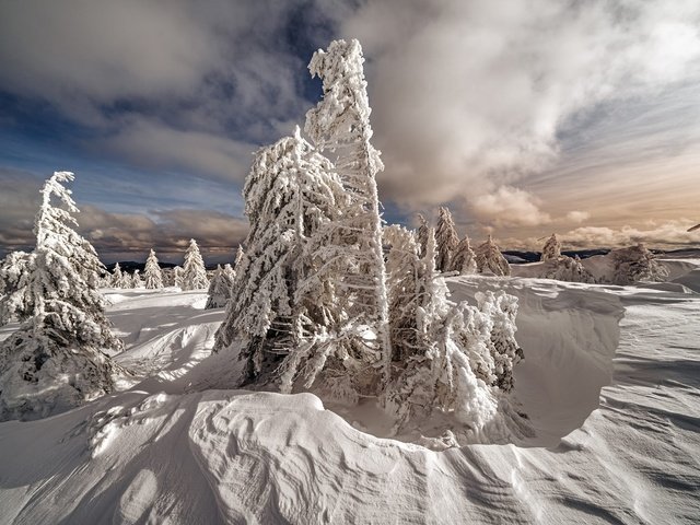 Обои небо, сугробы, облака, снег, природа, лес, зима, ели, елочки, the sky, the snow, clouds, snow, nature, forest, winter, ate, christmas trees разрешение 2000x1334 Загрузить