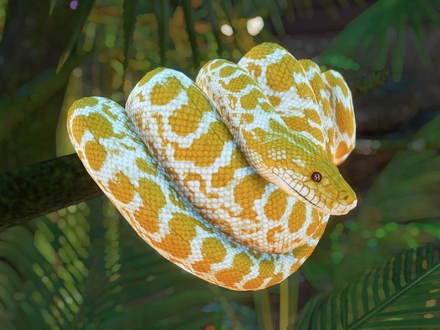 Обои природа, желтый, рендеринг, змея, питон, боке, nature, yellow, rendering, snake, python, bokeh разрешение 3840x2160 Загрузить