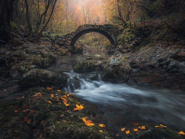 Обои река, мост, осень, river, bridge, autumn разрешение 2048x1300 Загрузить