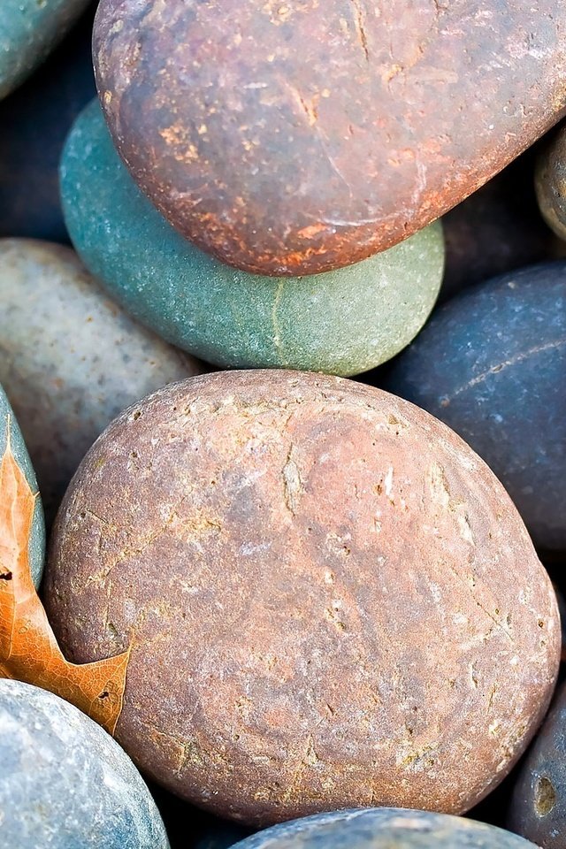 Обои камни, галька, лист, опавший, stones, pebbles, sheet, fallen разрешение 1920x1178 Загрузить