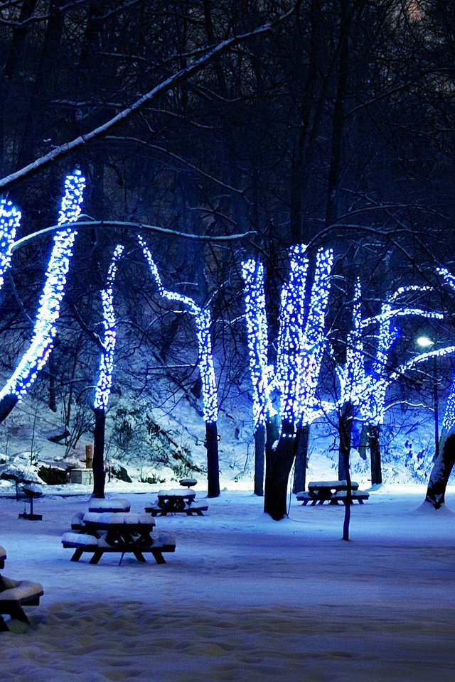 Обои деревья, снег, зима, иллюминация, праздник, рождественские огни, trees, snow, winter, illumination, holiday разрешение 2048x1365 Загрузить
