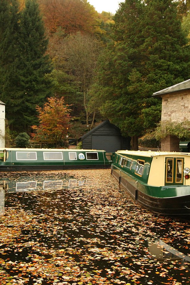 Обои река, осень, лодки, river, autumn, boats разрешение 2560x1600 Загрузить